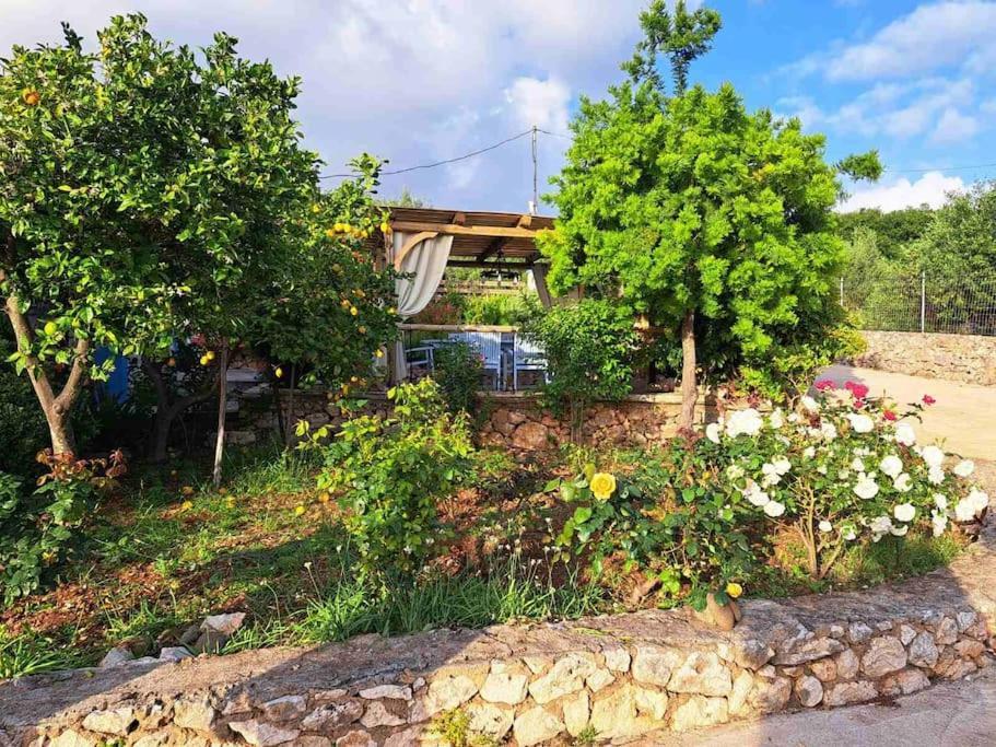 Fragosiko - Rustic Retreat In Kefalonia Argostoli  Exterior photo