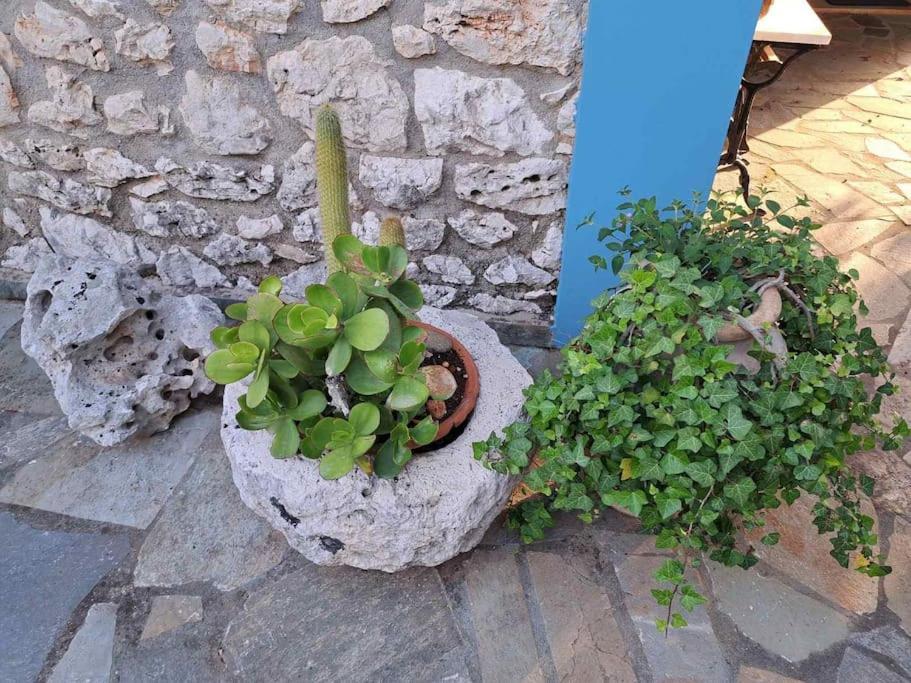 Fragosiko - Rustic Retreat In Kefalonia Argostoli  Exterior photo