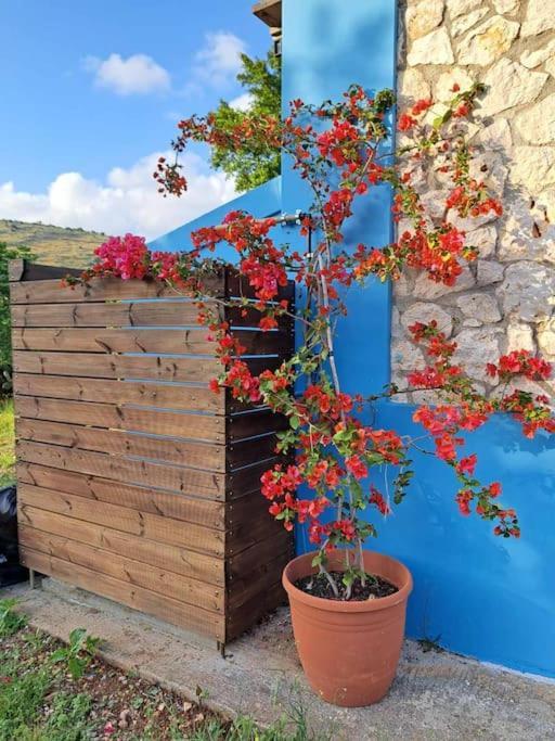 Fragosiko - Rustic Retreat In Kefalonia Argostoli  Exterior photo